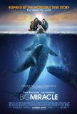 Big Miracle