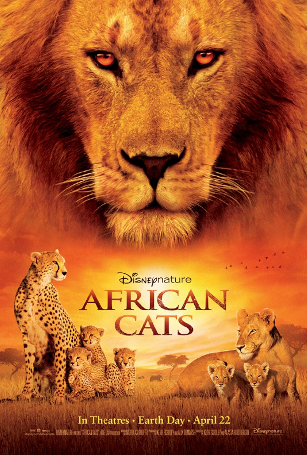 African Cats: Kingdom of Courage