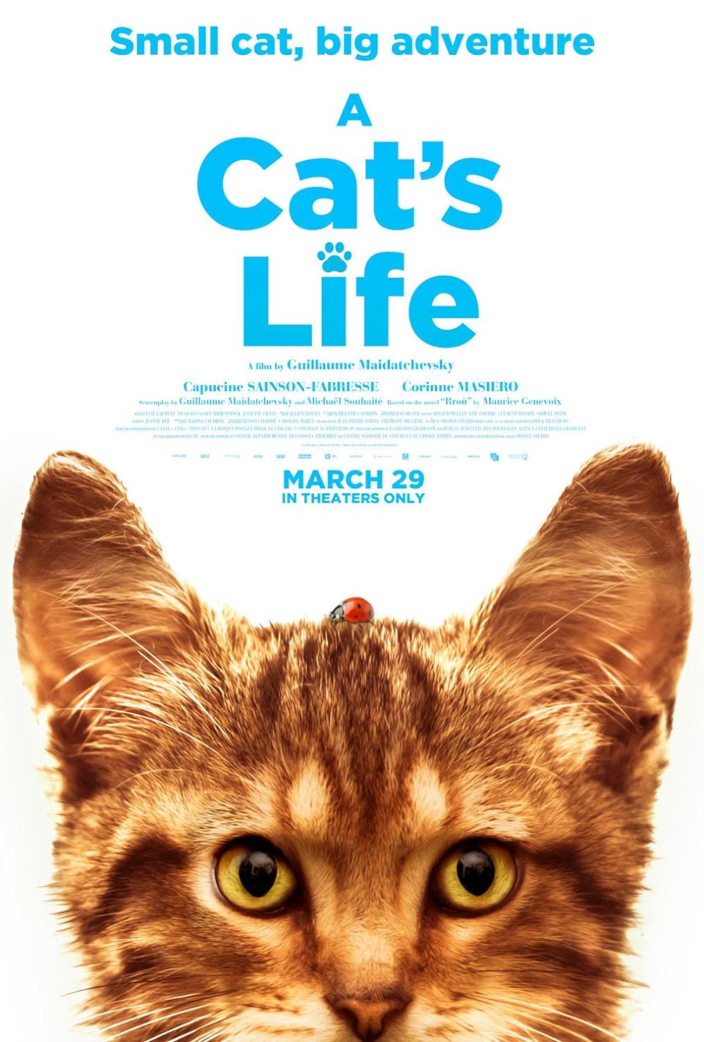 Cat's Life, A ( Mon chat et moi, la grande aventure de Rroû )