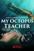 My Octopus Teacher