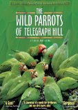 The Wild Parrots of Telegraph Hill