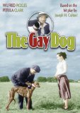 The Gay Dog