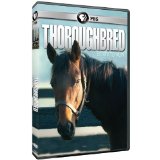 Thoroughbred