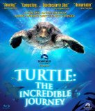 Turtle: The Incredible Journey