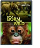 Born to Be Wild
