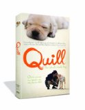 Quill
