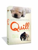 Quill