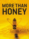 More Than Honey