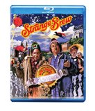 Strange Brew