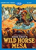 Wild Horse Mesa