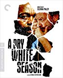 A Dry White Season