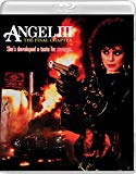 Angel III: The Final Chapter