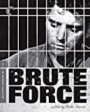 Brute Force