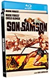 Son of Sampson ( Maciste nella valle dei re )