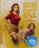 The Criterion Collection Blu-Ray Cover for Bitter Rice
