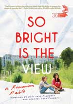 DVD Cover for So Bright is the View