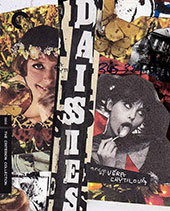 Daisies Criterion Collection Blu-Ray Cover