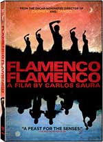 DVD Cover for Flamenco, Flamenco