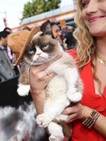 The Grumpy Cat in the hat (internet superstar Tardar Sauce) arrives with owner Tabatha Bundesen at the 2014 MTV Movie Awards.