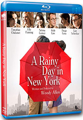 A Rainy Day in New York Blu-Ray Cover