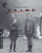 Shame Criterion Collection Blu-Ray Cover