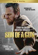 DVD Cover for Son of a Gun