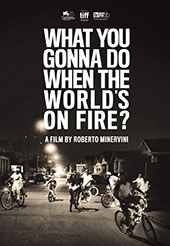What You Gonna Do When the World's on Fire DVD Cover