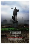 Strigoi