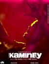 Kaminey