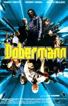 Dobermann