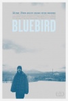 Bluebird