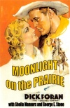 Moonlight on the Prairie