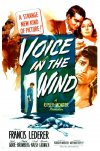 Voice in the Wind