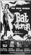 The Wild World of Batwoman