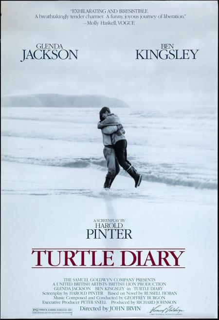 Turtle Diary