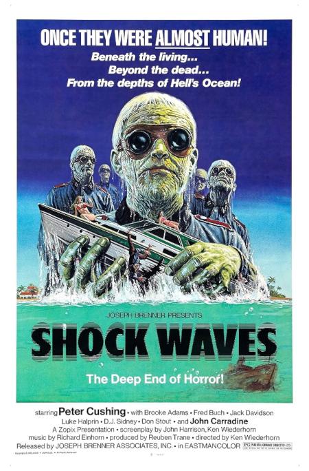 Shock Waves