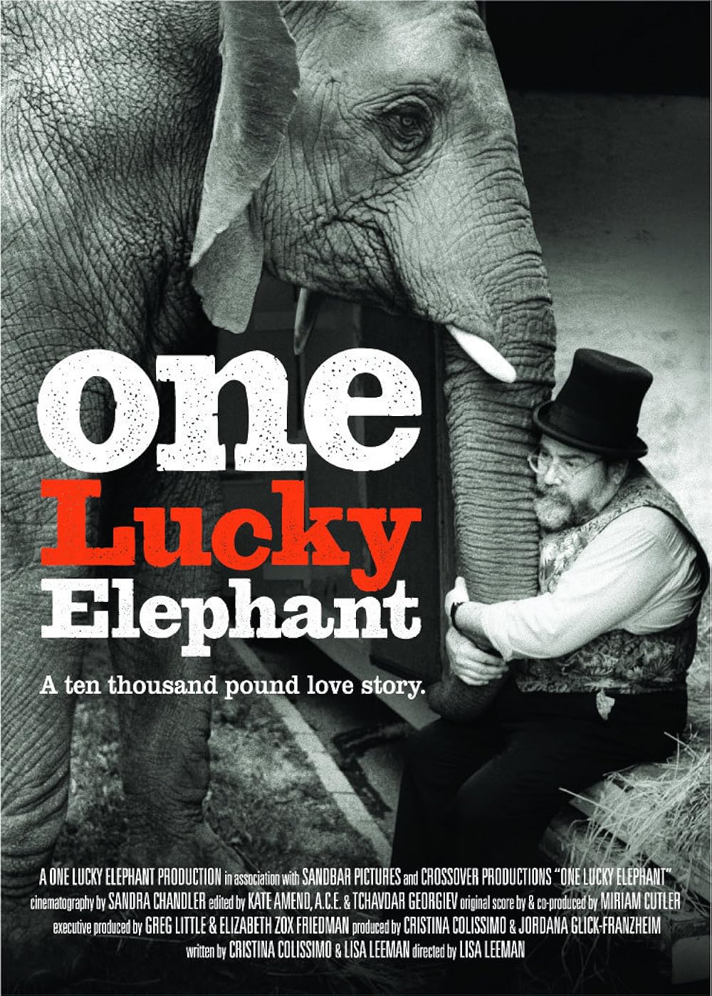 One Lucky Elephant