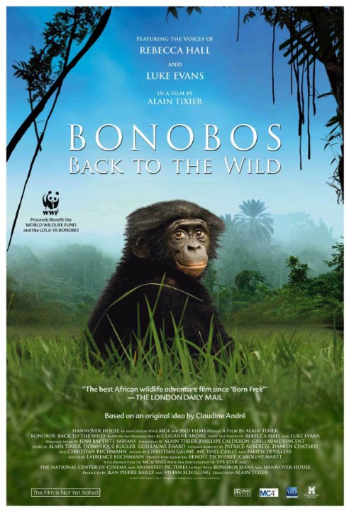 Bonobos: Back to the Wild