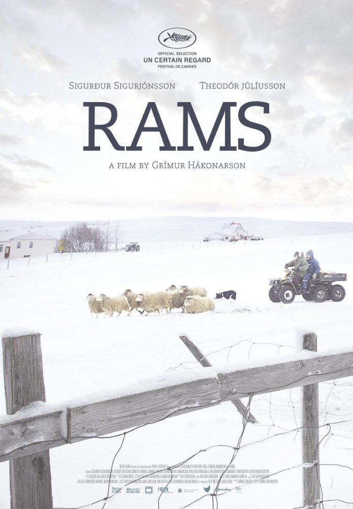 Rams ( Hrútar )