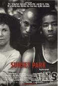 Sunset Park Sunset Park