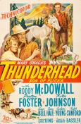 Thunderhead - Son of Flicka