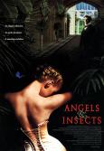Angels and Insects Angels and Insects