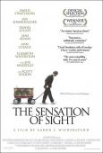 The Sensation of Sight The Sensation of Sight