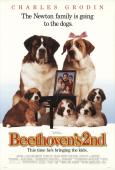 Beethoven's 2nd Beethoven's 2nd