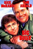 Big Bully Big Bully