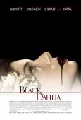 The Black Dahlia The Black Dahlia