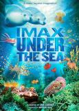 Under the Sea 3D Under the Sea 3D