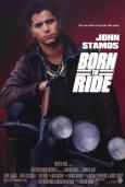 Born to Ride Born to Ride