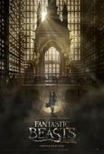 Fantastic Beasts and Where to Find Them