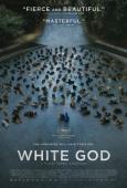 White God ( Fehér Isten )